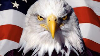 America