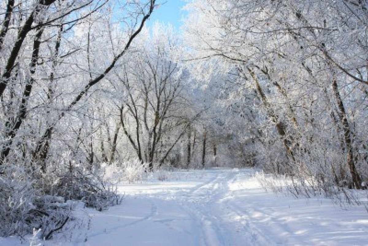 ملک بھر میں سردی کی شدت میں اضافہ