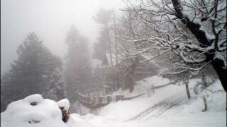 Cold