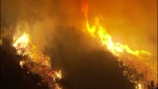 Fire