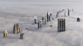 Fog