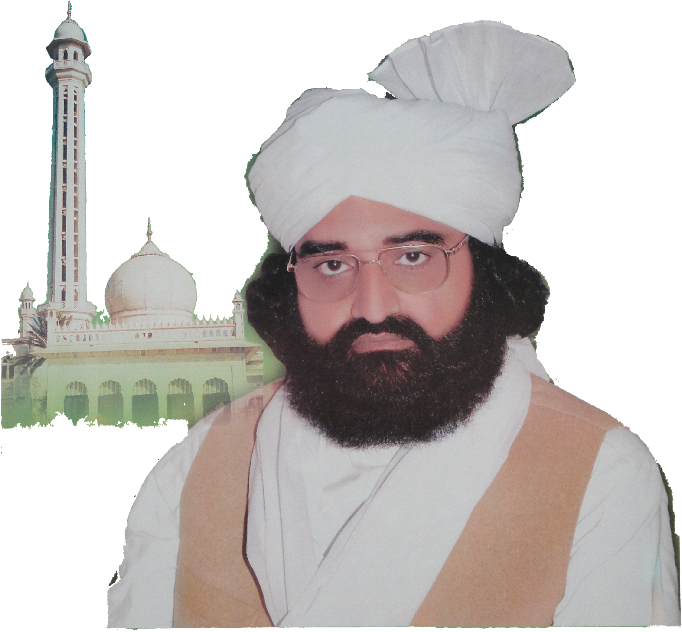 میں ہوں گدائے کوچہ اے آل نبیۖ نصیر