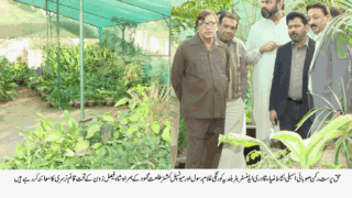 Nishat Mohammad Zia