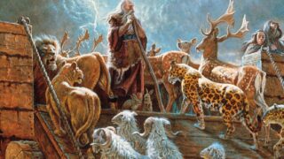 Noah