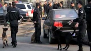 Police