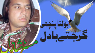 Shazil Sonu