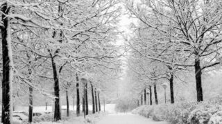 Cold Weather