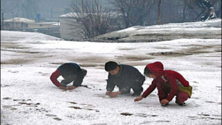 Cold Weather