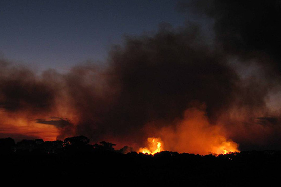 پرتھ : جھاڑیوں میں آگ، ایک شخص ہلاک چھیالیس گھر راکھ