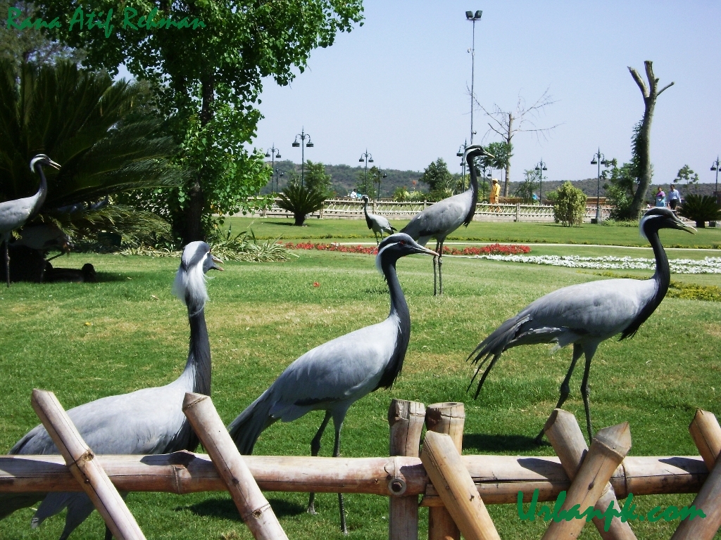 Lake View Park