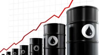 Oil