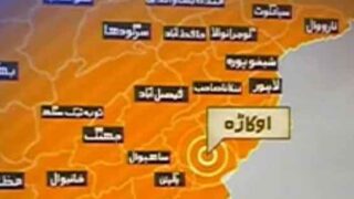 Okara