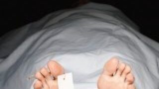 Persons killed