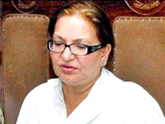 بھارتی فلموں سے خوفزدہ ہونے کی ضرورت نہیں، سنگیتا