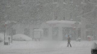 Snow Strome