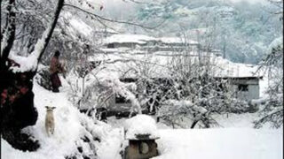 Snowfall