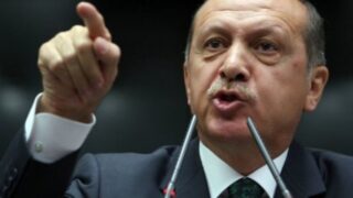 Tayyip Arduaan