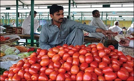 کراچی: ٹماٹر کی فی کلو قیمت میں ایک مرتبہ پھر اضافہ