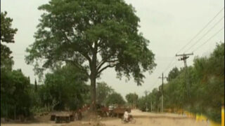 Canal Road Extension