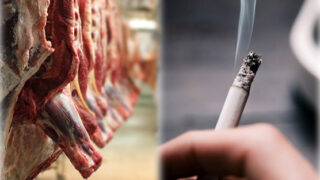 Dead Animals Meat