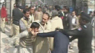Fight