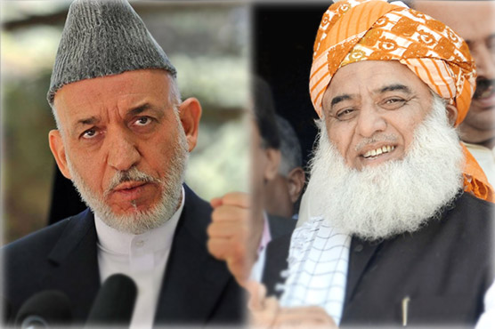 حامد کرزئی کا مولانا فضل الرحمن سے رابطہ، اہم امور پر تبادلہ خیال
