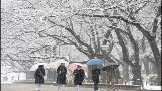 Snow Storm