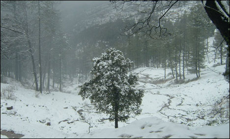 میدانی علاقوں میں بارش، بالائی علاقوں میں برفباری، پھر ٹھنڈ بڑھنے لگی