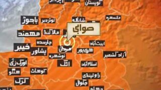 Swabi
