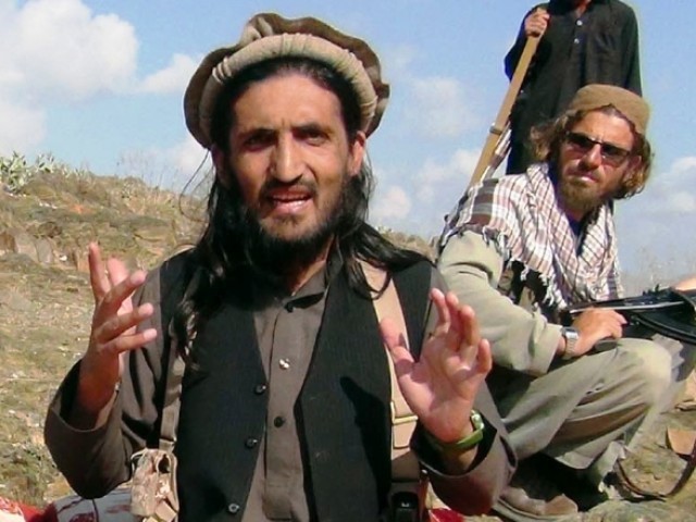 ہماری جنگ نظریاتی ہے طاقت کے ذریعے کمزور نہیں کیا جا سکتا، سربراہ تحریک طالبان مہمند