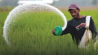 Urea