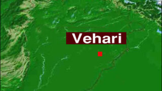 Vehari