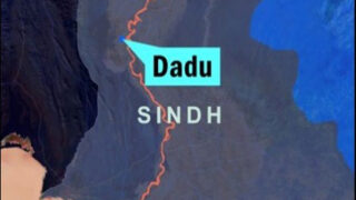 Dadu