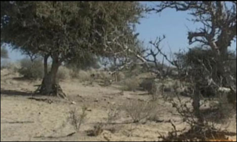 تھر میں قحط سالی، مٹھی کے اسپتال میں 1ماہ میں 32 بچے فوت