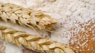 Flour Mills