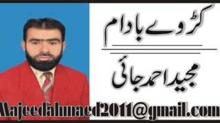 Majeed Ahmed