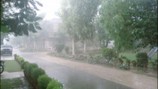 Rainfall