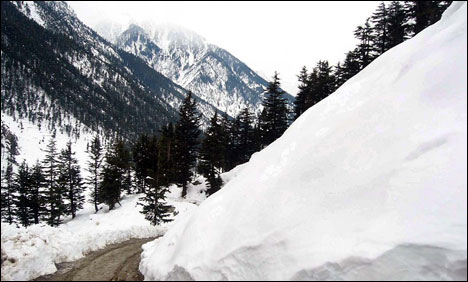 Snowfall