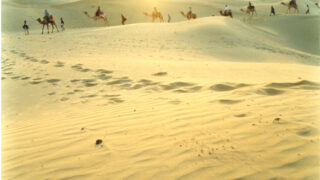 Thar Desert