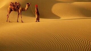 Tharparkar