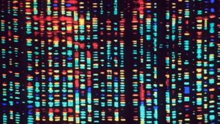 The problem is of gene
