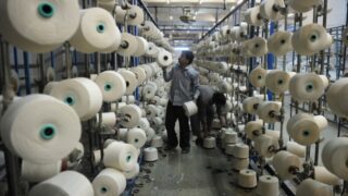 Thread Cotton