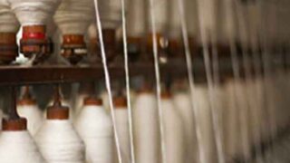 Thread Cotton