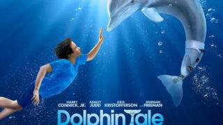 Dolphins