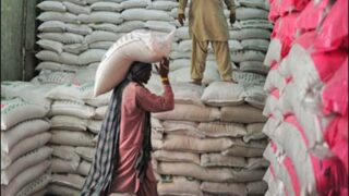 Flour Mills