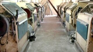 Flour, Mills