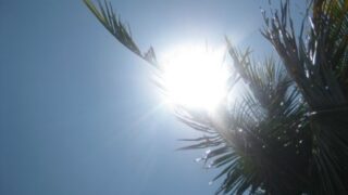 Hot Weather