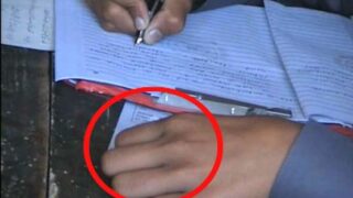 Imitate Examinations
