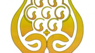 Pakistan Saarc Insurance