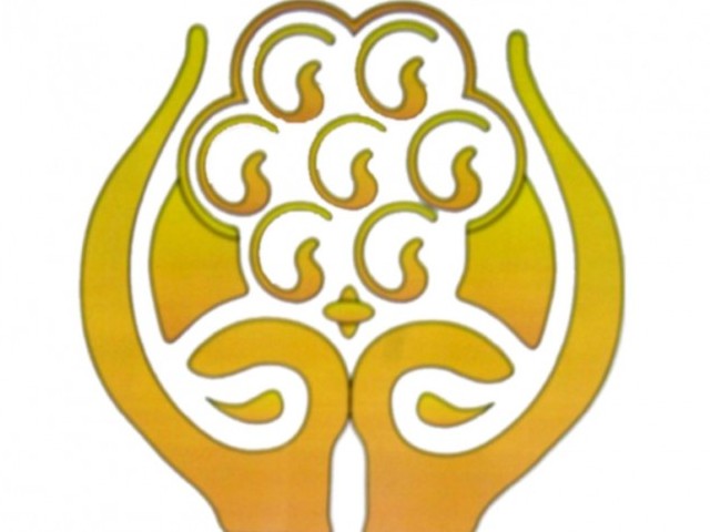 Pakistan Saarc Insurance